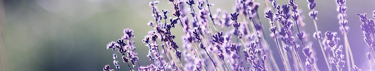 Pamper Haven Blog